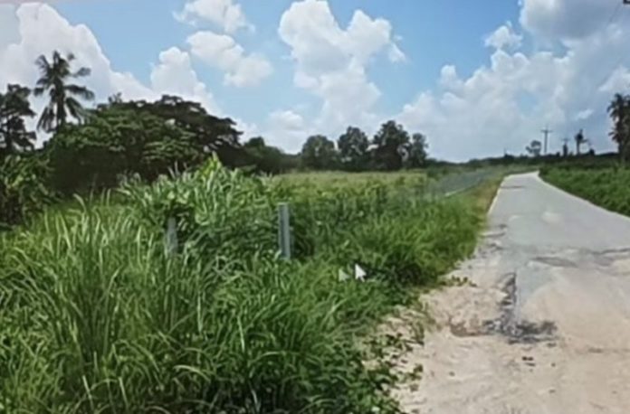 ถนนวังค้อ-สุสานสิงโตคู่ ชลบุรี