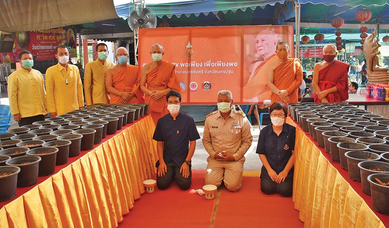 ผักสวนครัวนำสุขพอเพียง