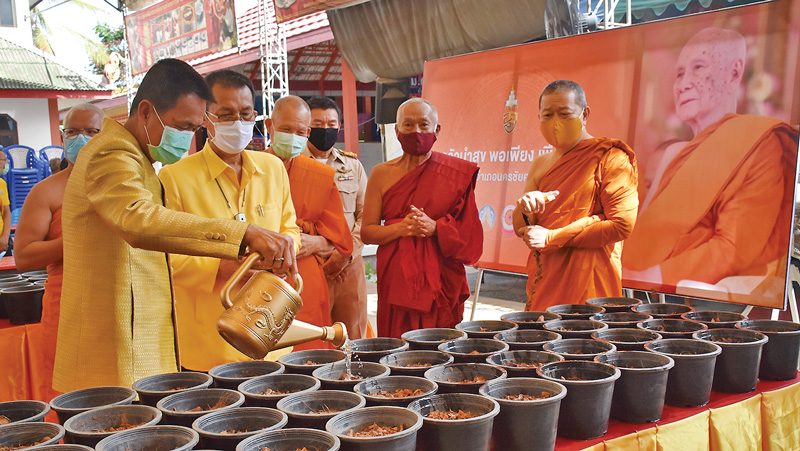 ผักสวนครัวนำสุขพอเพียง