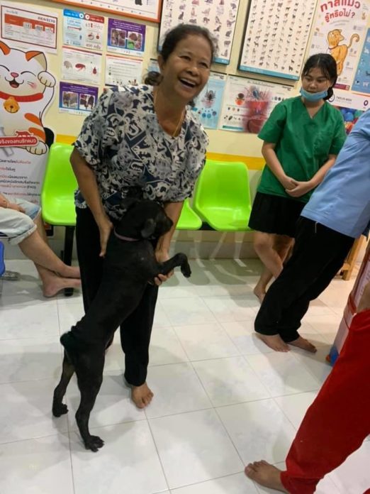 คลินิกสัตวแพทย