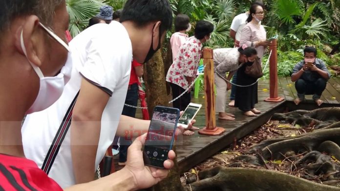 เลขหวยคำชะโนด