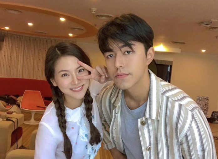 ใบเฟิร์น