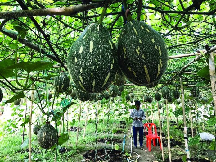 เกษตรกร‘บ้านฮูแตทูวอ’