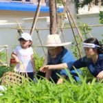 น้อมนำแนวพระราชดำริของสมเด็จพระกนิษฐาธิราชเจ้า กรมสมเด็จพระเทพรัตนราชสุดาฯ สยามบรมราชกุมารี กรมการพัฒนาชุมชน กระทรวงมหาดไทย ปักธงความสำเร็จ ‘ความมั่นคงทางอาหาร’ 90 วัน ปลูกผักสวนครัว มุ่งสู่เส้นชัยเศรษฐกิจฐานรากยั่งยืน 