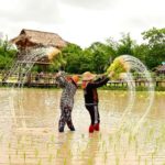 ม่วนซื่นอุบลราชธานี – อำนาจเจริญ   สัมผัสวิถีชีวิตท่ามกลางธรรมชาติ แหล่งอารยธรรมริมแม่น้ำโขง