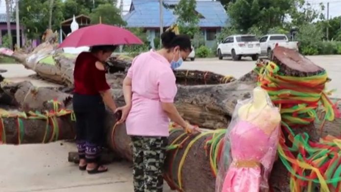 แก้บนหวย