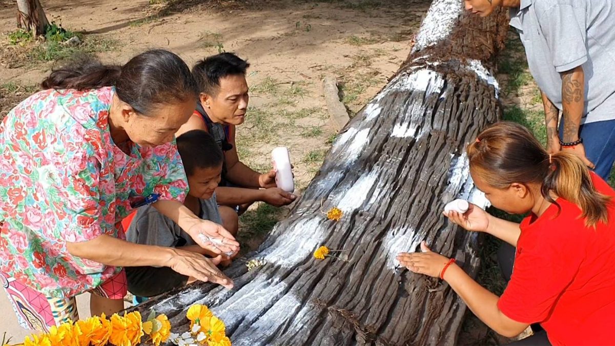.3ตัวโผล่ชัด! แห่ขอเลขเด็ดต้นตะเคียนยักษ์ งวดที่แล้วให้แม่น รับทรัพย์เพียบ.