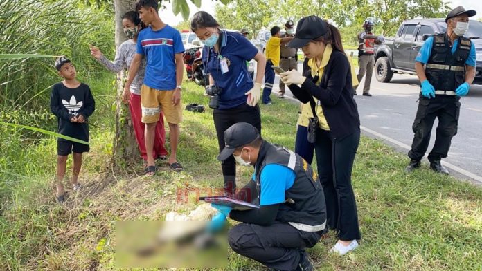 กะโหลกมนุษย์