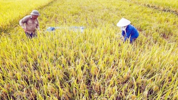 ปิดจ็อบจ่าย5พัน