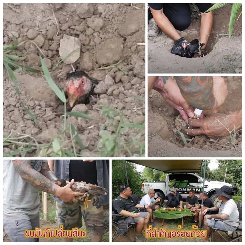 วอชด็อก ไทยแลนด์ แจ้งความ หม่อมถนัดแดก ทรมานสัตว์ ปมโชว์เมนูซาดิสม์