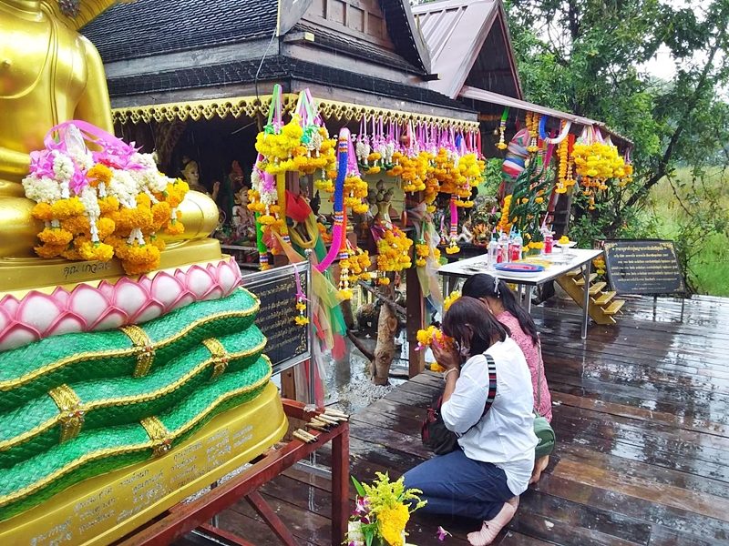 นักเสี่ยงโชคไม่กลัวฝน แห่ขอพรแน่นศาลพ่อปู่ศรีสุทโธ-แม่ย่าศรีปทุมมา ส่องขันน้ำมนต์พ่อจ้ำ