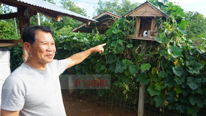 โจรเสียค่าโง่