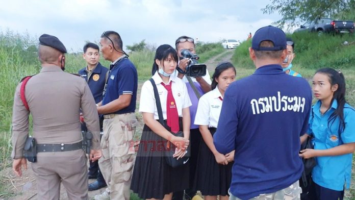 จระเข้โผล่คู่