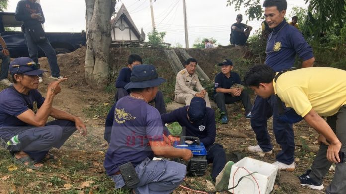 ผวาจระเข้โผล่หัว