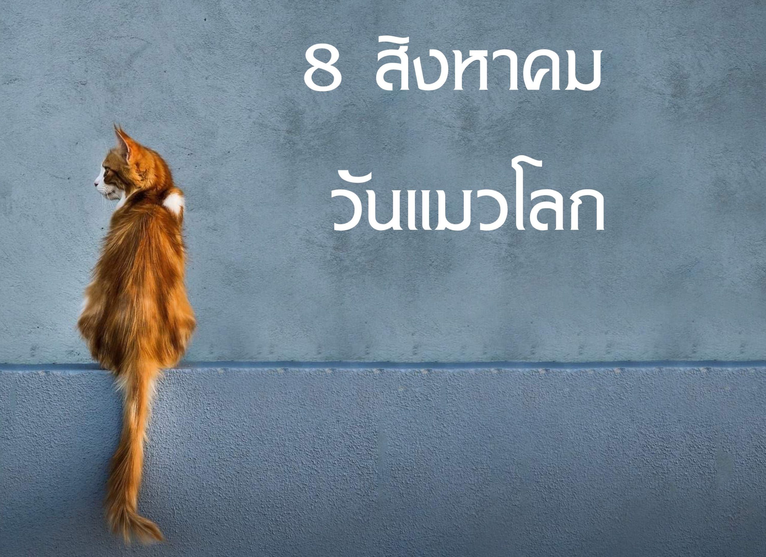 à¹à¸¡à¸§à¸ªà¸³à¸„ à¸à¸‚à¸à¸‡à¹‚ลภในป 2002 หร à¸à¸› พ ศ 2545 à¸à¸à¸‡à¸— นเพ à¸à¸ªà¸§ สà¸
