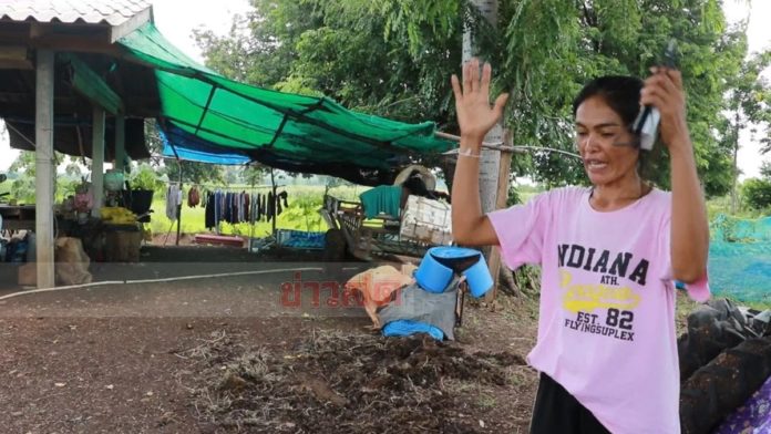 แสงกระสือ
