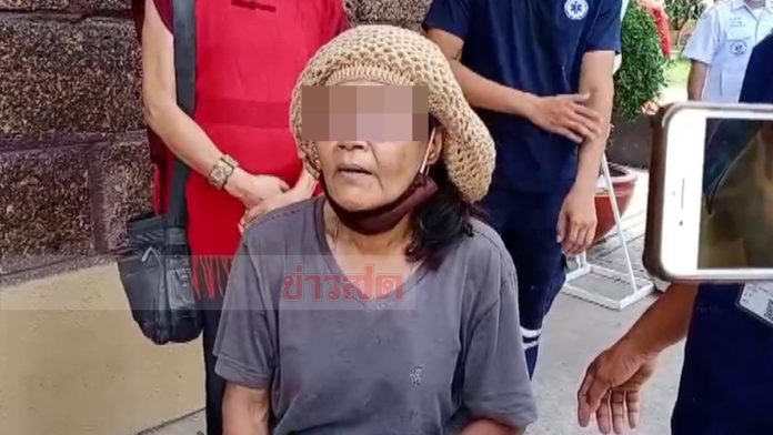 ปล่อยงูไล่ที่