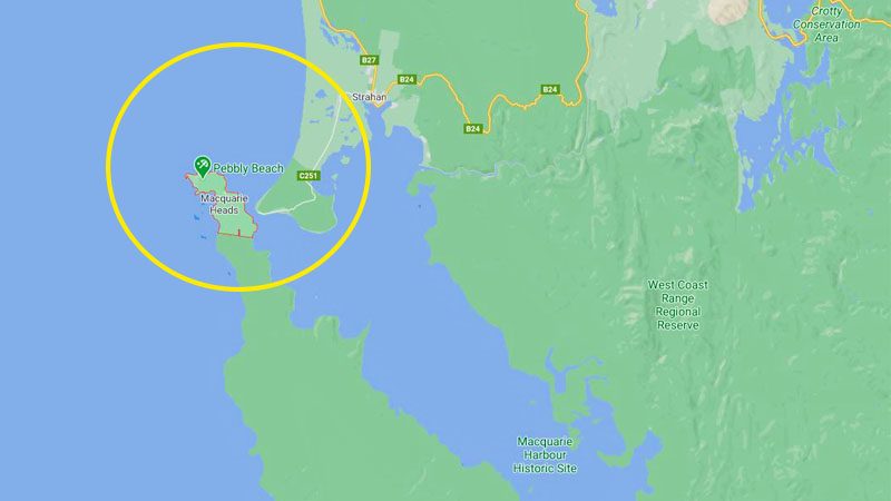 ตะลึงวาฬ 270 ตัวโผล่