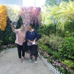 ‘สวนนงนุช’ เนรมิต ‘Garden Therapy’ มุมผ่อนคลายกาย-ใจ ในงาน ‘Healthcare 2020’