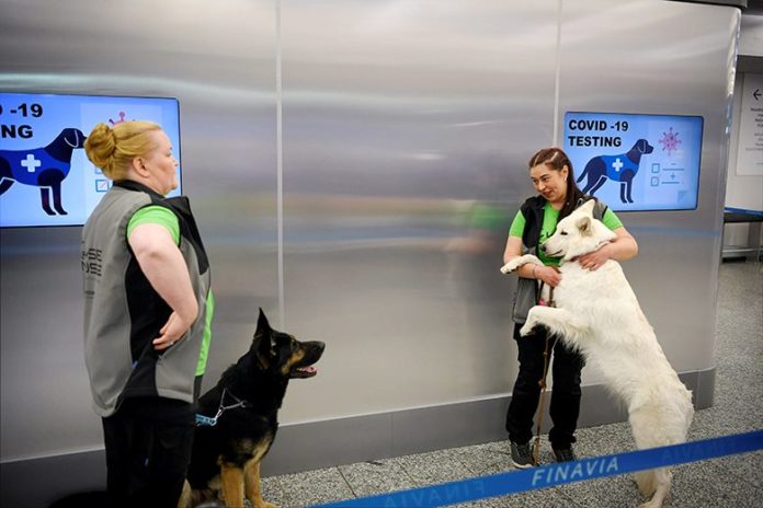 สุนัขตรวจจับโควิดที่สนามบิน