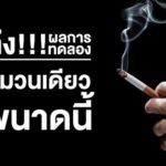 ตะลึง!! ผลการทดลอง บุหรี่มวนเดียวยังขนาดนี้ ใครยังสูบบุหรี่ที่บ้าน ชวนคลิกอ่าน ที่นี่