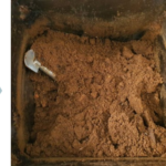 เปลี่ยนของเสียเป็น  Bio-Soil  หนึ่งนวัตกรรมกำจัด ‘ขยะอาหาร’ ล้นเมือง