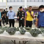 SACICT สืบสานพระราชปณิธาน พระบรมราชชนนีพันปีหลวง  เตรียมยกระดับมาตรฐานงานเซรามิกและหัตถกรรมใยกัญชง  หวังดันสู่ตลาดแพลตฟอร์มดิจิทัล  สร้างคุณค่างานศิลปาชีพและหัตถกรรมไทยไปยังคนรุ่นใหม่