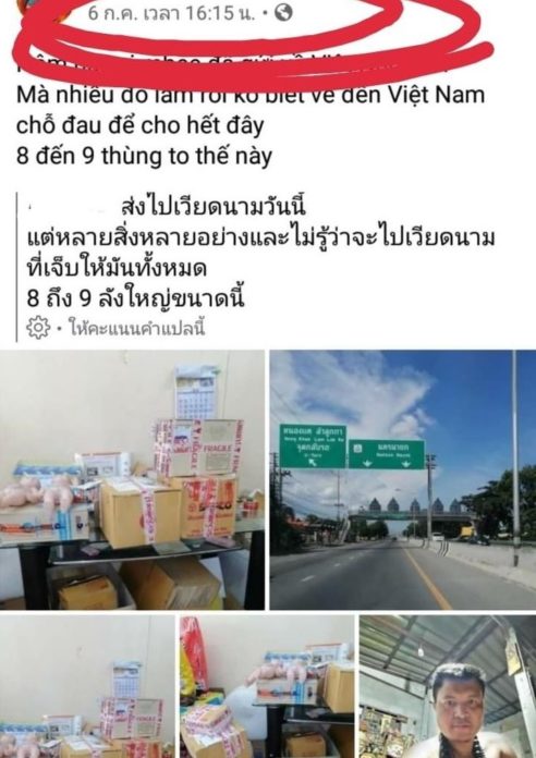 เปิดป่าช้า
