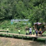 ททท.นครสวรรค์ ชวนสัมผัส ดอกกระเจียวยักษ์ บ้านที่บ้านเขาโล้น ทับคล้อ จ.พิจิตร