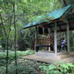 ททท.นครสวรรค์ ชวนสัมผัส ดอกกระเจียวยักษ์ บ้านที่บ้านเขาโล้น ทับคล้อ จ.พิจิตร