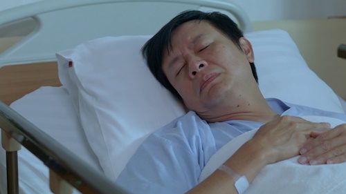 แอน