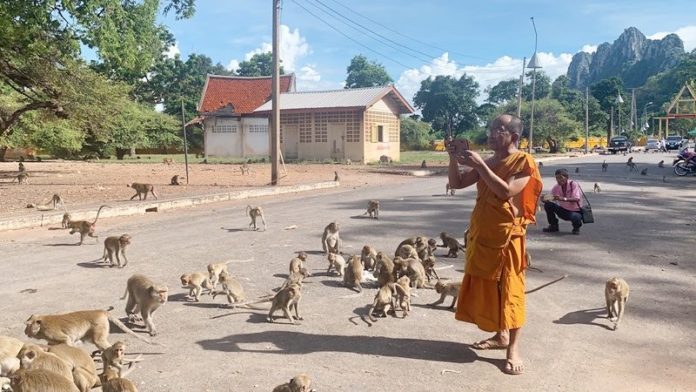 วัดเขาหน่อ พญาวานร