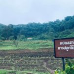 สืบสานแนวพระราชดำริ โครงการเกษตรวิชญา ชุมชนเข้มแข็ง-ป่าต้นน้ำสมบูรณ์