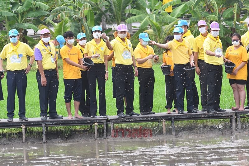 บิ๊กตู่ อารมณ์ดีมาก สอนนักศึกษา ต้องรู้จักบ้านเมือง-ประเทศของเราให้ดี จะรื้อทุกอย่างทีเดียวไม่ได้