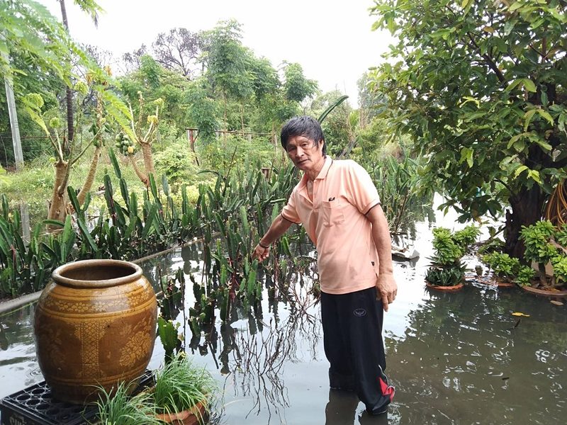 สุพรรณบุรี สุดอ่วม ฝนถล่มนานหลายวัน น้ำไหลท่วมสวนกระบองเพชร เสียหายนับแสนบาท