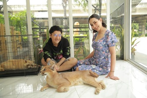 บิ๊กเอ็ม