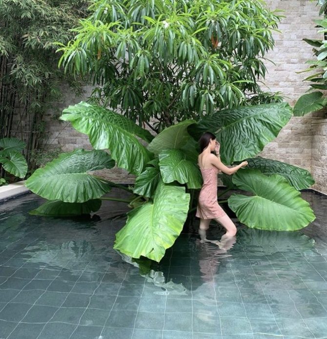 ณเดชน์ ปัดข่าว สร้างเรือนหอ ส่วน ญาญ่า ขอที่ปลูกต้นไม้เยอะๆ