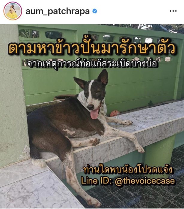 อั้ม พัชราภา