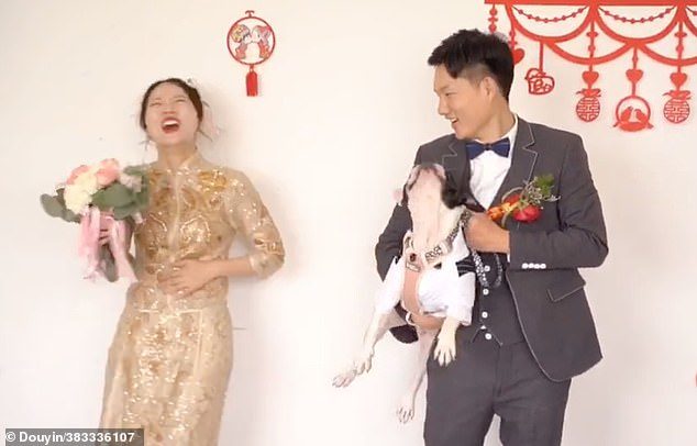 เจ้าตูบสกายคิกใส่เจ้าสาว