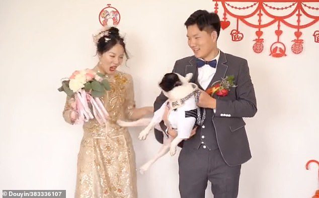 เจ้าตูบสกายคิกใส่เจ้าสาว