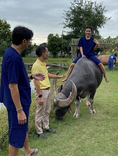 นิ่ม