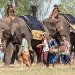 การแสดงช้าง จัดใหญ่แบบสมจริง ในโอกาส 60 ปีของการจัดงาน