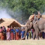 การแสดงช้าง จัดใหญ่แบบสมจริง ในโอกาส 60 ปีของการจัดงาน