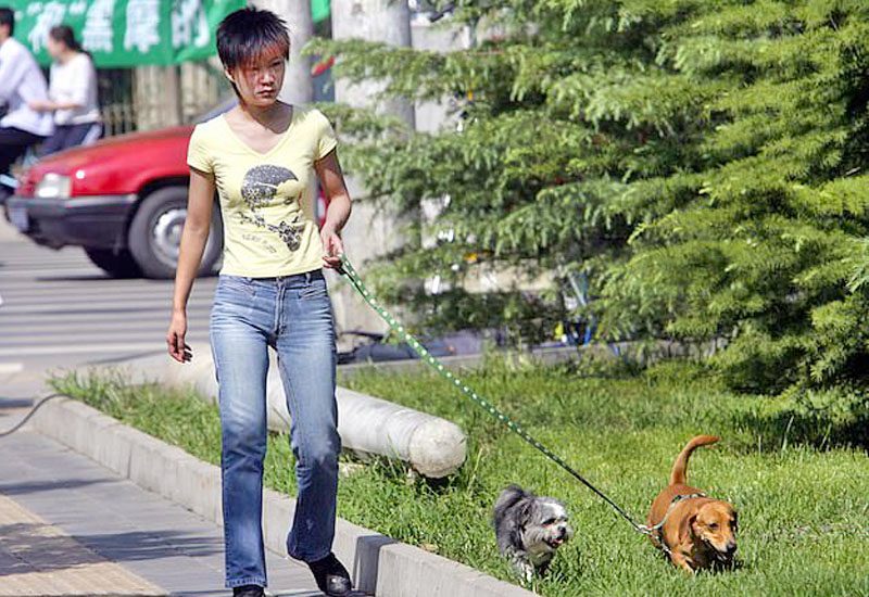 จีนเมินดราม่า!