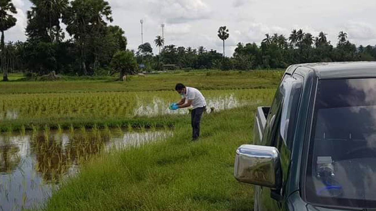 พยาธิที่อยู่ในหอย ชอนไชผิว