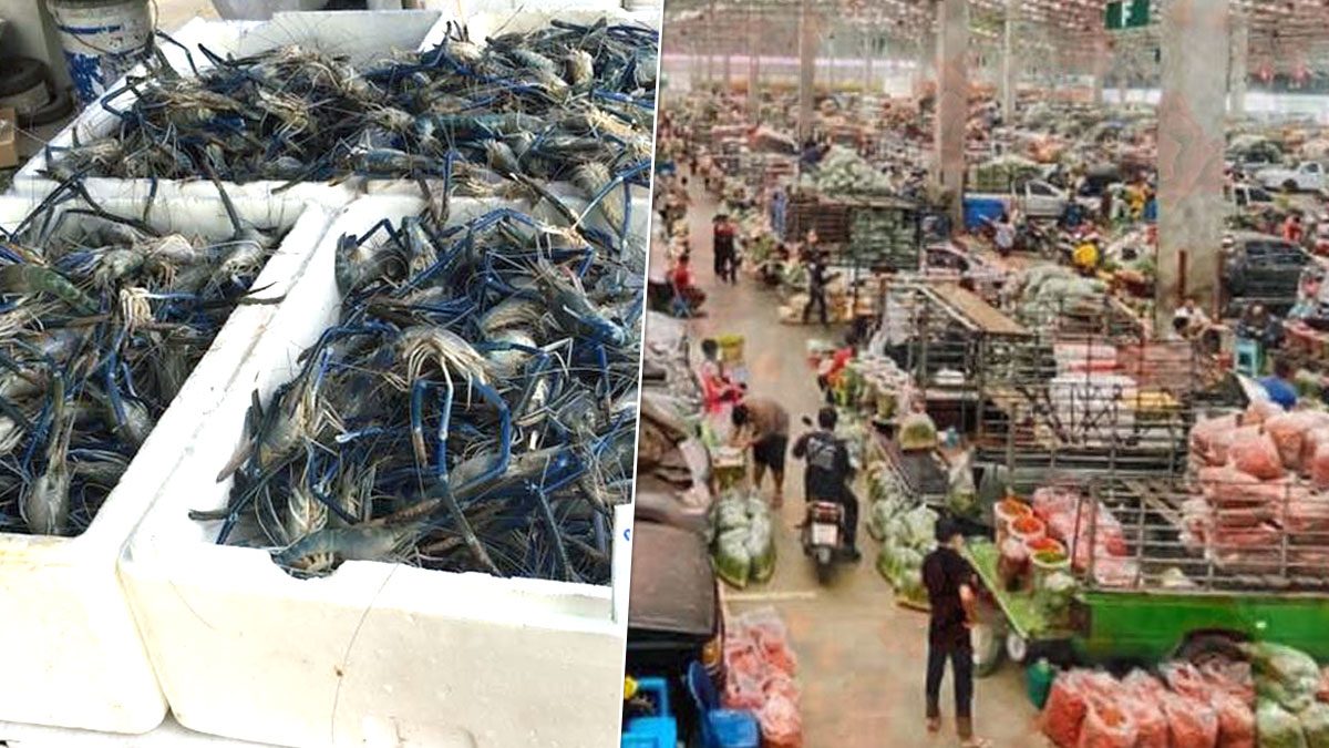 ตลาดสี่มุมเมือง แจงแล้ว ปมห้ามขายกุ้ง-อาหารทะเล เยียวยาผู้ค้า ตลาดสี่มุมเมือง แจงแล้ว ปมห้ามขายกุ้ง-อาหารทะเล เยียวยาผู้ค้า