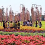 จิม ทอมป์สัน ฟาร์มทัวร์ ชวนคนไทยเที่ยวรับลมหนาว “ดอกไม้บาน อีสานม่วนซื่น”