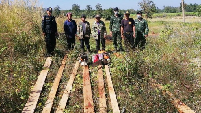  ซุ่มจับตัดป่า