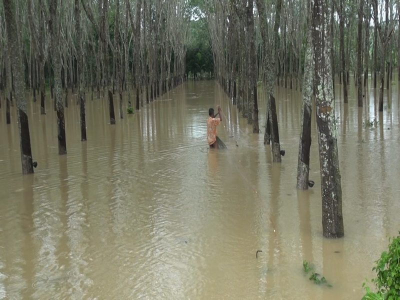 ฝนถล่มสงขลา น้ำป่าเขาวังพา ทะลักท่วม 11 อำเภอสุดอ่วม ด้าน ผู้ว่าราชการจังหวัด ประกาศพื้นที่ภัยพิบัติฉุกเฉิน