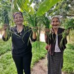 “ผัดไทภูเขาไฟ” ผัดไทยพลังชุมชน
